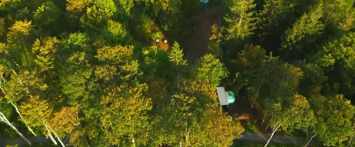 Drohnenaufnahme über herbstlichem Wald im Harz